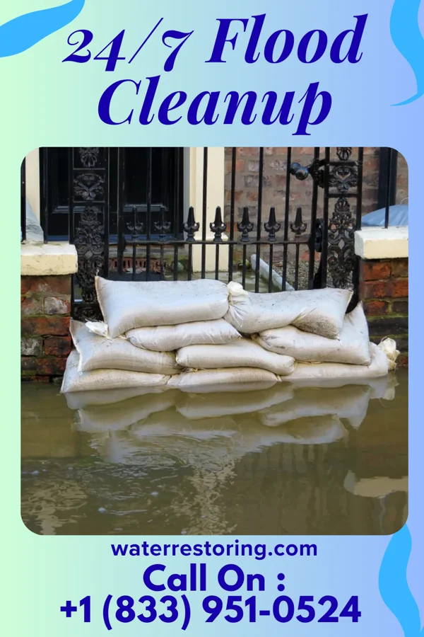 24/7 Flood Cleanup in Taylors Falls, MN