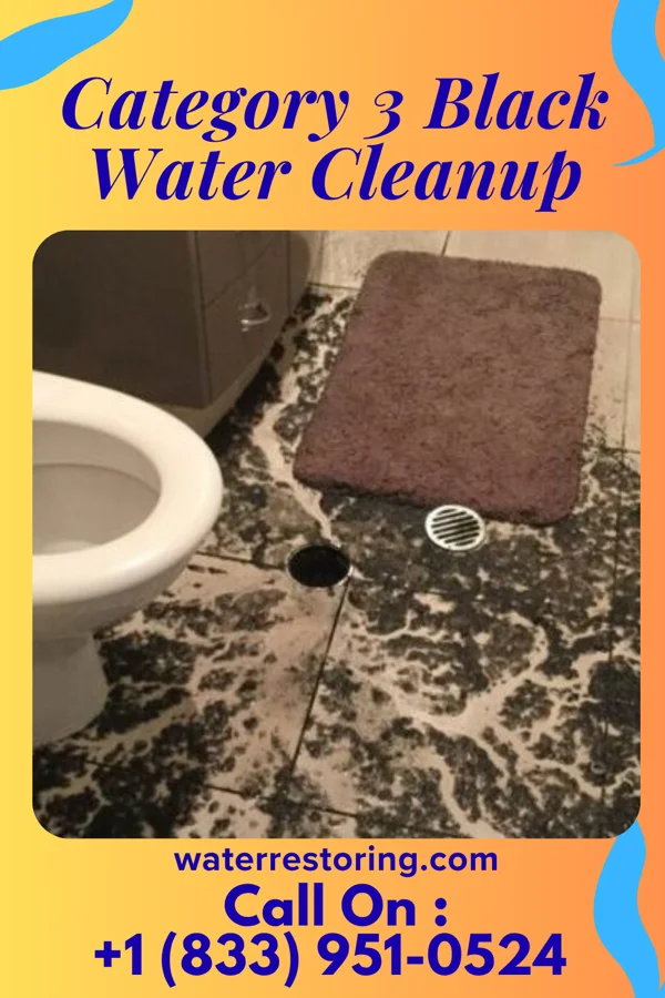 Category 3 Black Water Cleanup in Taylors Falls, MN