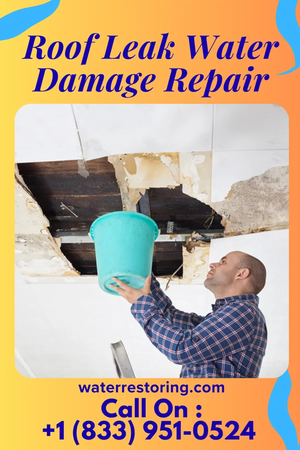 Roof Leak Water Damage Repair in Taylors Falls, MN