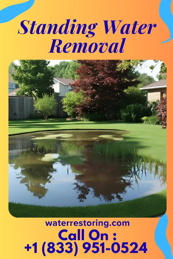 Standing Water Removal in Taylors Falls, MN